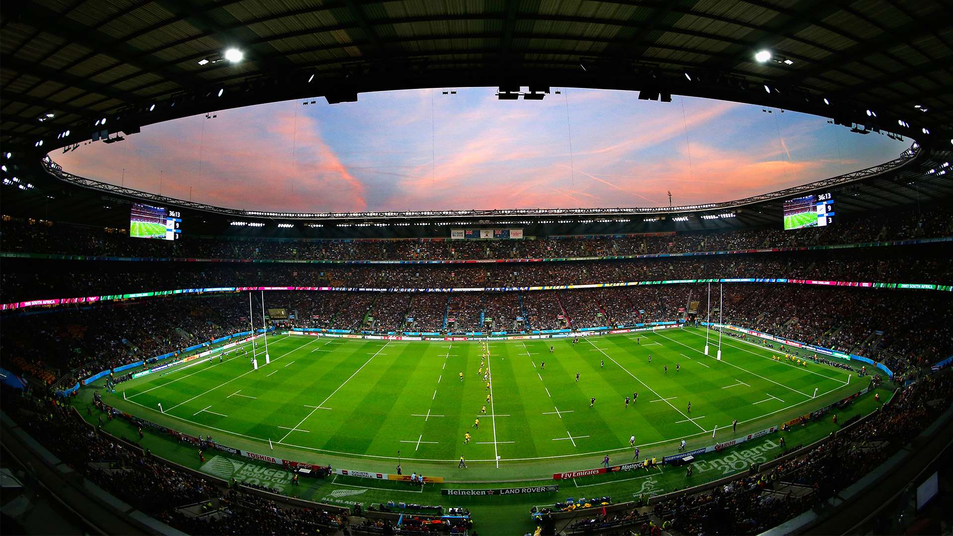 布澤利斯 布澤利斯